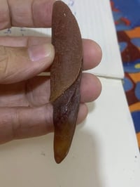 عرك • احمر • يشف