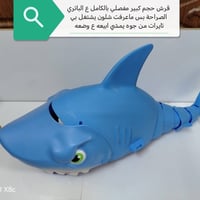 ختم أصلي • جديد • متوفر