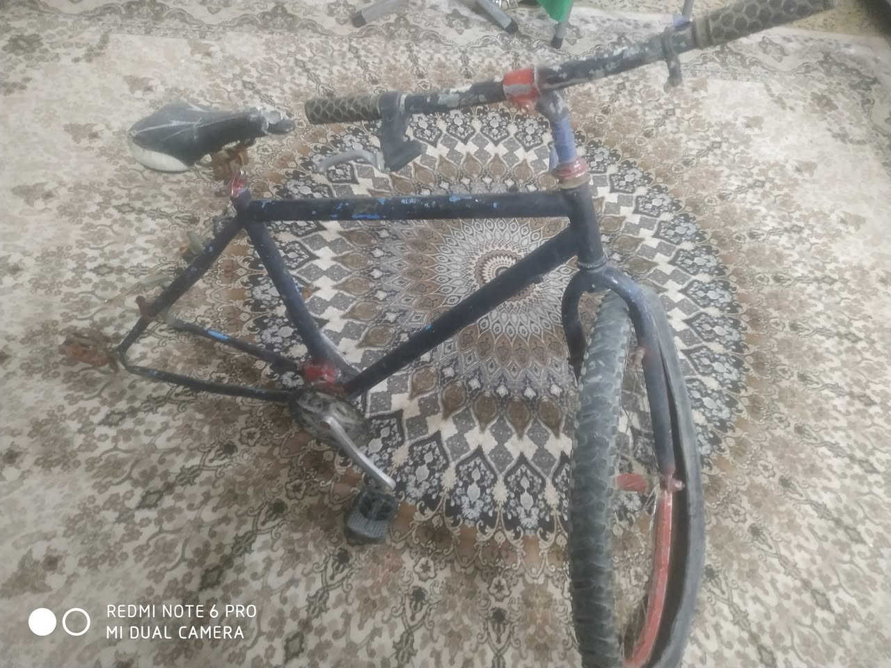 السلام عليكم اخوان شاصي مال باسكل سباق قيم وخذ الشعب شارع الصحة ***********
