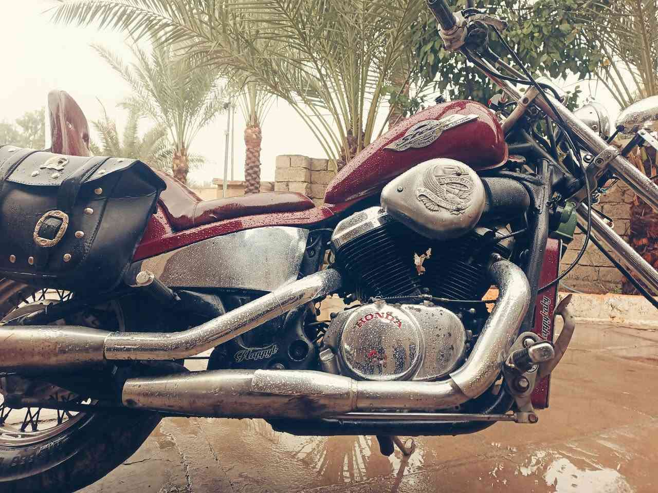 هوندا ستيد 400cc
النضافه فول شوفة العين
محركه بي خربطه بالخانه الاماميه مرات تشغتل وتصفه مرات تطفه وتدخن 

دراجه خير من الله كهربائيات وسلف نكره 
هورن عالي
لايتات عالي ناصي 
بگ لايت 
مجرد الخانه الاماميه بيها خربطه📛 
الباقي كله شرط 

السعر مليون وبيها مجال للشراي 
 المكان صلاح الدين تكريت
اتصل ***********
