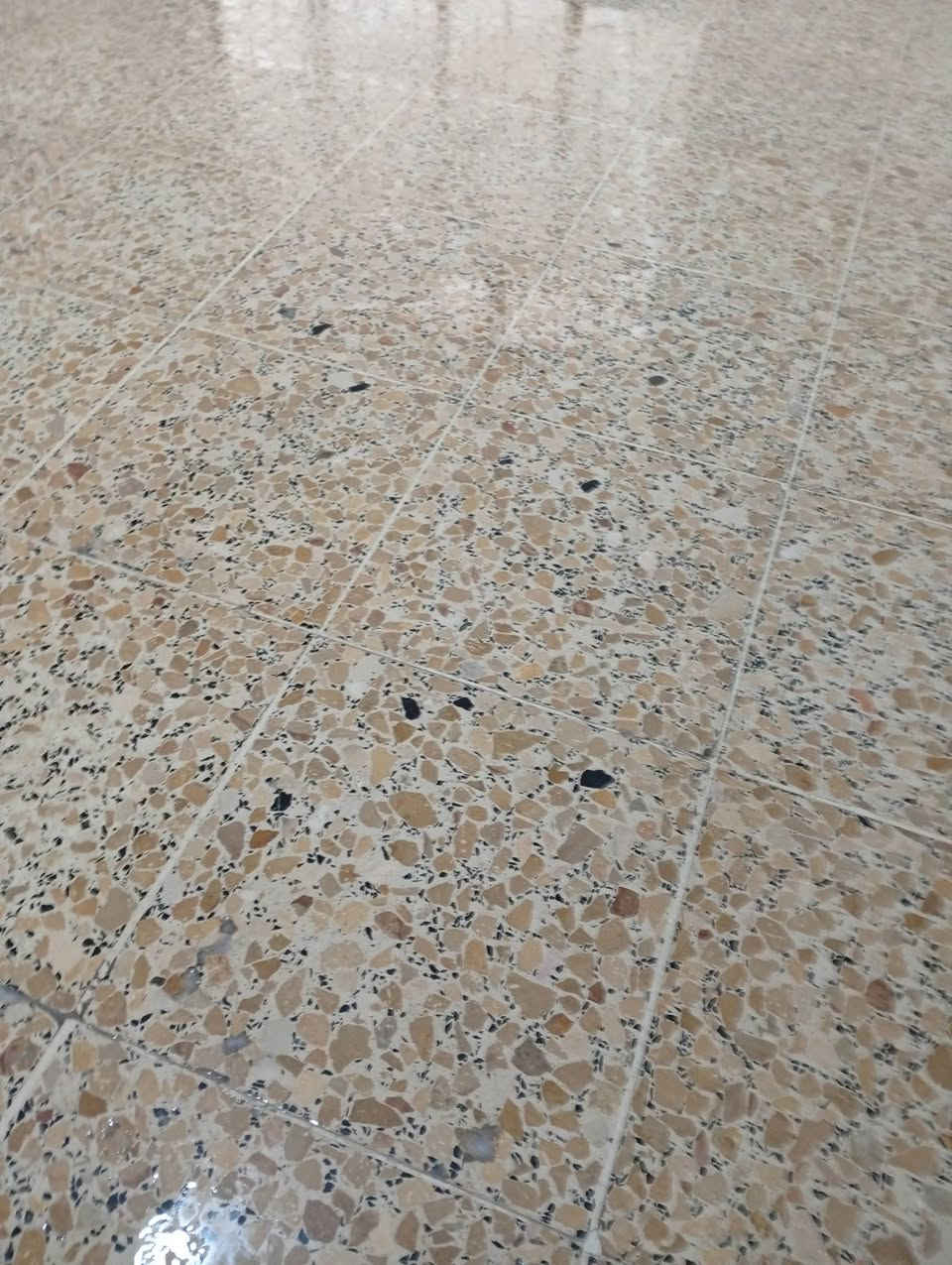 السلام عليكم جلي موقعي كل نواع ارضيه خام مرمر بورسلين موزاييك سعر مناسب صب للاستفسار ***********كركوك
