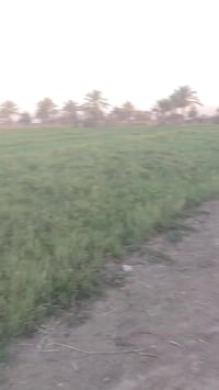 ورديه خارج الطابه • ٤٠ دونم • خدمات كاملة