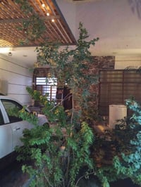 بيت مساحة 188م.قاط واحد سند 25.زراعي تحويل مباشر العنوان بغداد الضباط ...