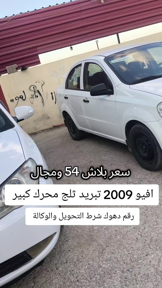 #***********  #عراقي #عراق #العراق #العراق🇮🇶 
