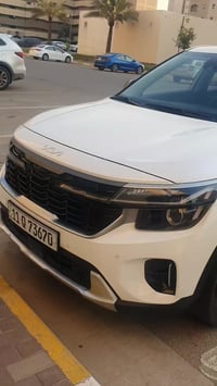 سيلتوس • ٢٠٢٥ • مرقمة بغداد