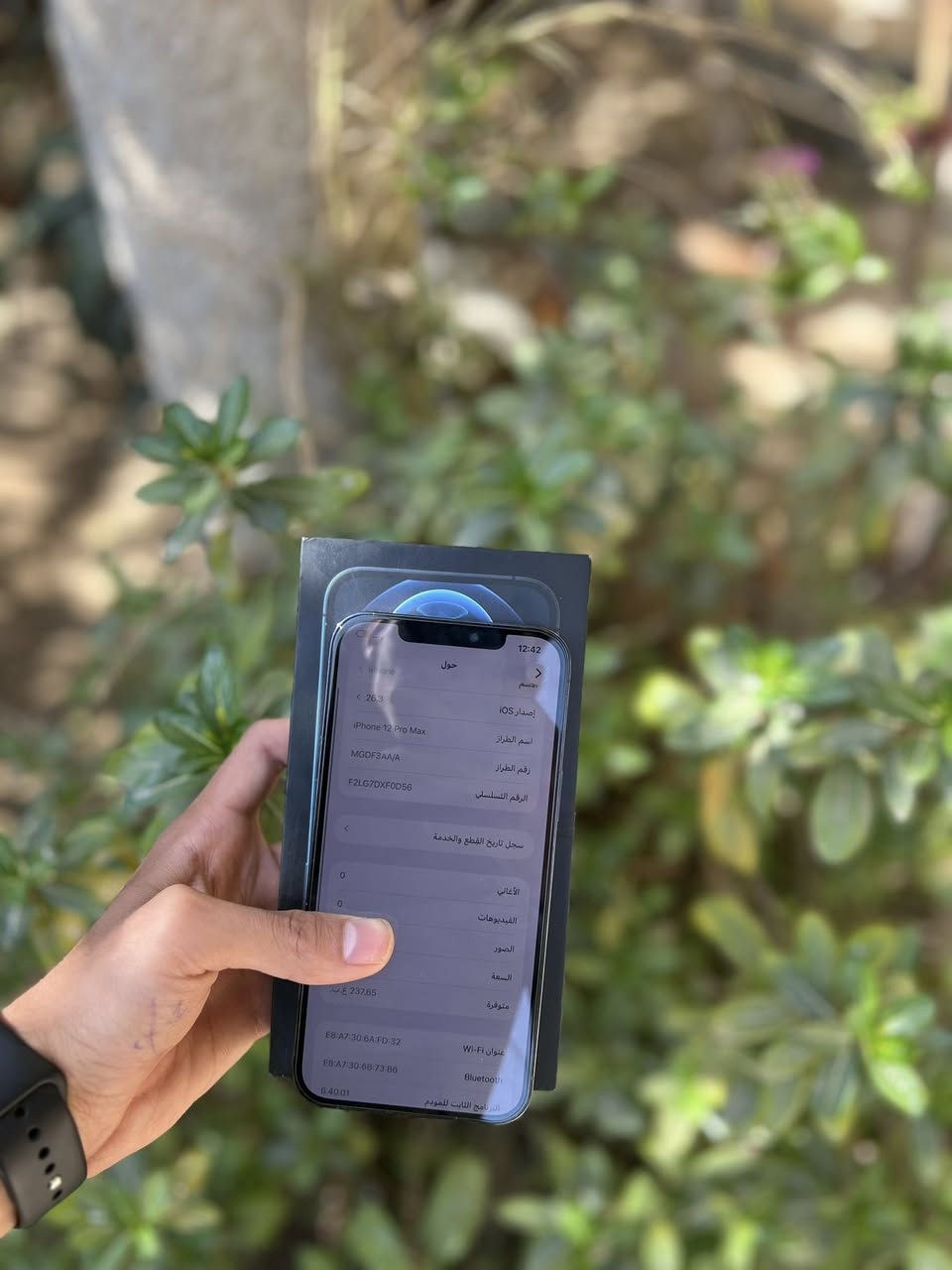 ايفون 12 برو ماكس ماستر عربي شرق اوسط ضمان بلادي ممفتوح ذاكره 256 بطاريه 79 بل حاسبه 81 كامل ملحقات عنواني بعقوبه شراي خابرني ***********
