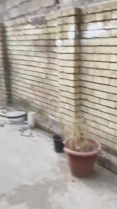 بيت للبيع زراعي طابقين بلديات شارع الشريط بناء حديث سعره١١٥للاستفسار***********
