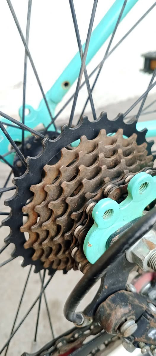 رود C700للبيع
ماركة Alton
معدنة المنيوم 
حجم 27
مجمع بولبرن 
كير امامي 3سرع 
كير خلفي 7سرع 
بريك امامي وخلفي 
نضافتة 95٪
سعرة 110وبي مجال 
مكاني بغداد الزعفرانية 
***********
