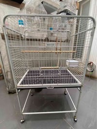 قفص طيور • للكوكتيل والببغاء • نظيف