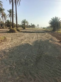 الرض الدسميه • دونم ونص • طابو زراعي سند25