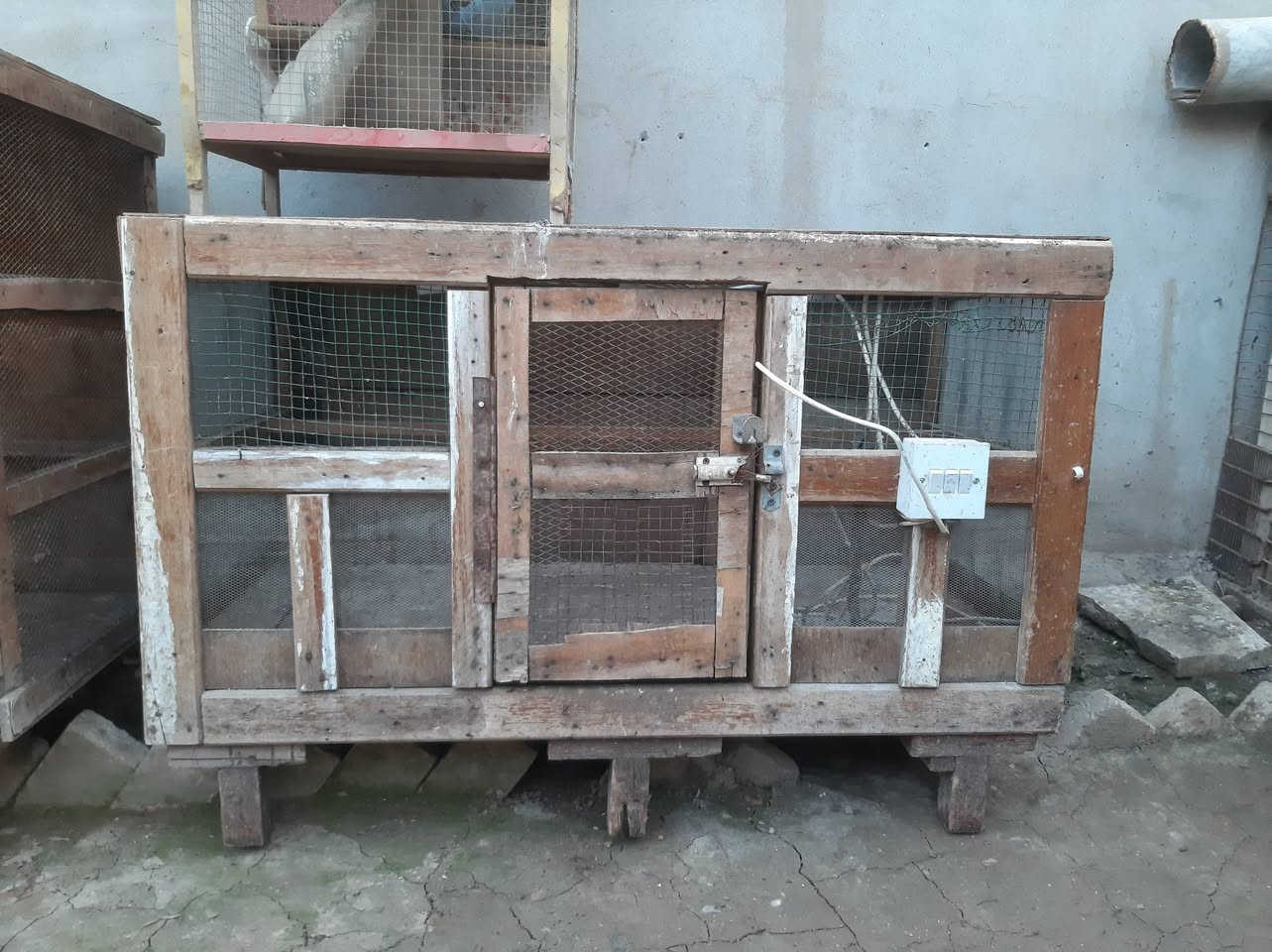 السلام عليكم ورحمة الله
متاح للبيع 3 اقفاص اثنين منهم مال صواصي واحد منهم مال بلابل حب كلهم شلع 50 الف المكان كوكجلي


**إذا كنت صاحب هذا الإعلان وتريد حذفه لأي سبب، رجاءا أرسل رسالة إلى الدعم الفني**