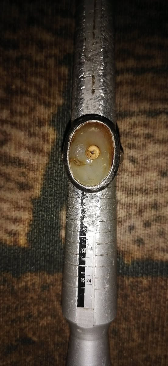 خاتم سليماني عين صريحة قديم مفول صياغة سلجوقي 23غرام مختوم 925 شغلة عام قطعة قديمة كلش


**إذا كنت صاحب هذا الإعلان وتريد حذفه لأي سبب، رجاءا أرسل رسالة إلى الدعم الفني**