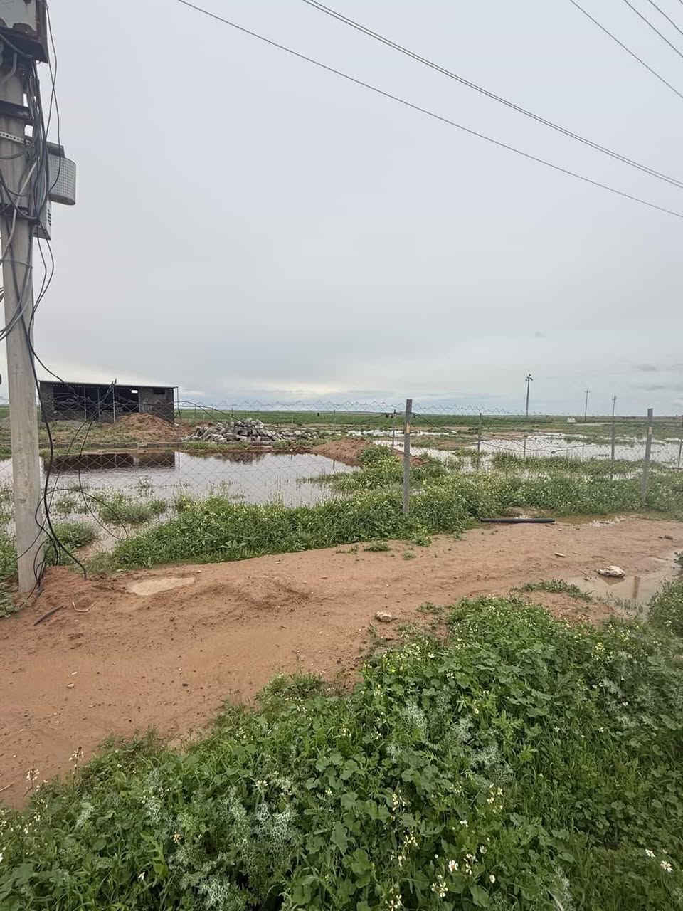 السلام عليكم
ارض للبيع 
بيها غرفة نام جلسة مع صحيات 
مساحة الارض 2150 يعني دونم اله 
مي كهرباء تبليط واصلات بلباب 
موقع الامسحلي قرية العدلة خلف قاعة دريم ستي
بيها تفاصيل نوب اتصل وتدلل 
***********
