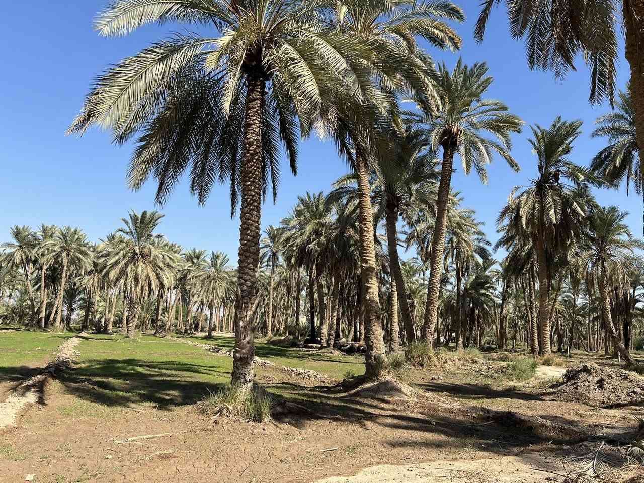 سلام عليكمً ارض طابو زراعي للبيع ام نعجه 301 او 256متوفر كافت الخدمات المساحه 5 دونم 

‭0783 885 1910‬
