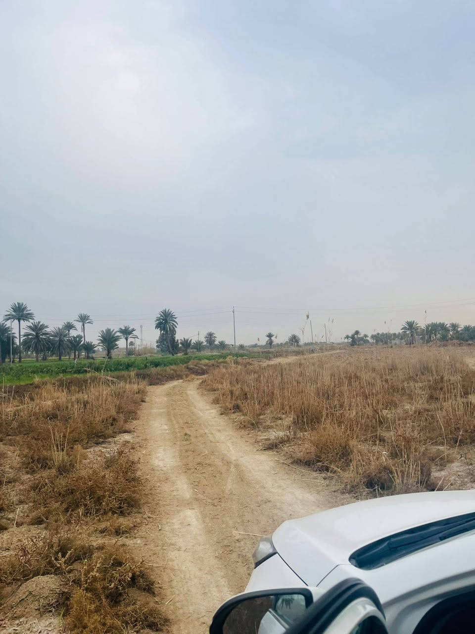 سلام عليكم
6 دونم البيع في السجر الدوايه قريبه على جدول الصب الكاع تبعد عن  جدول على سليمان 200 متر. جنس العقار طابو زراعي سند 25. بيه مي اسأله وكهرباء وساقيه للاستفسار تصال علا رقم ***********
