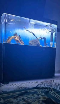 حوض سمك • نظام سامب • ١٢٠سم