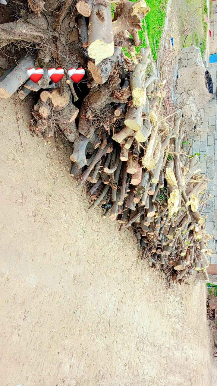 السلام عليكم 
خشب للبيع 
نضيف ويابس 
للاتصال على 
***********
