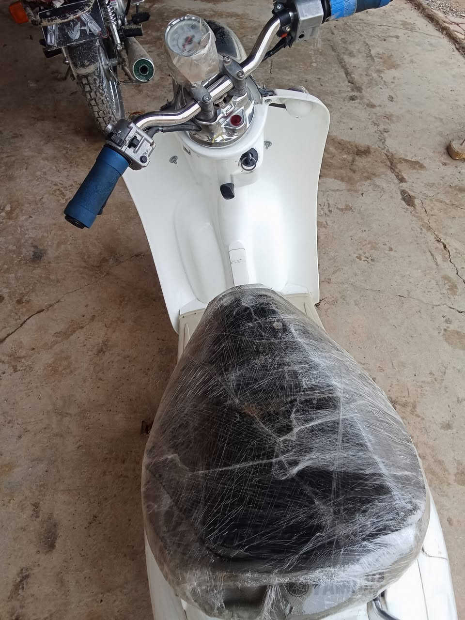 البيع عبد الحليم شرط شغال اي عيب ما بي كل شغال السعر 250 بي مجال مكان كركوك قريت  جردغلي ***********
