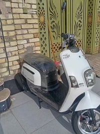 ماكس بوليس • أوراق صولية • مجال قليل