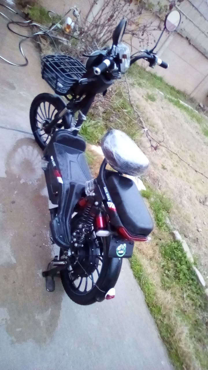 مطور الربيع جديد موديل 25 أربع نمر إشارات نظام سرقات بطاريات جديد سعر 375 بي مجال حجم 24 مراوس هم يرهم مكان حي سومر هذا رقمي ***********
