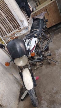 بولر • شغالة • مراوس