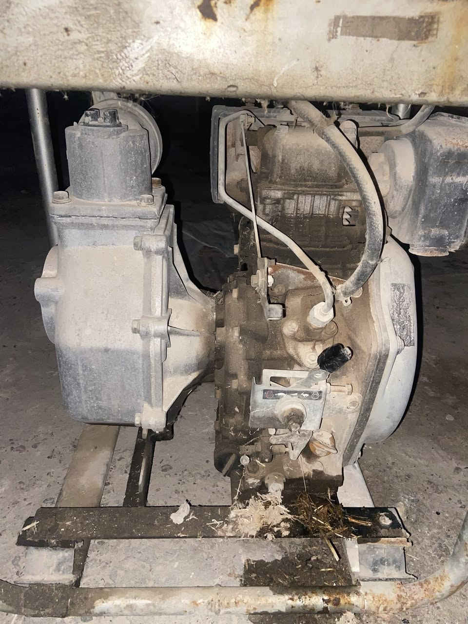 ‏سلام عليكم مولد جامع سبع حصان للبيع للبيع خنزيرة بثلاثة ثلاثة بثلاثة عنوان ديالى بعقوبة رقم الهاتف ***********￼
