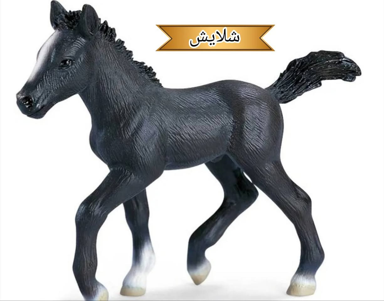 متوفر شخصيات ✅يوجد توصيل لجميع المحافظات 🚚✅


**إذا كنت صاحب هذا الإعلان وتريد حذفه لأي سبب، رجاءا أرسل رسالة إلى الدعم الفني**