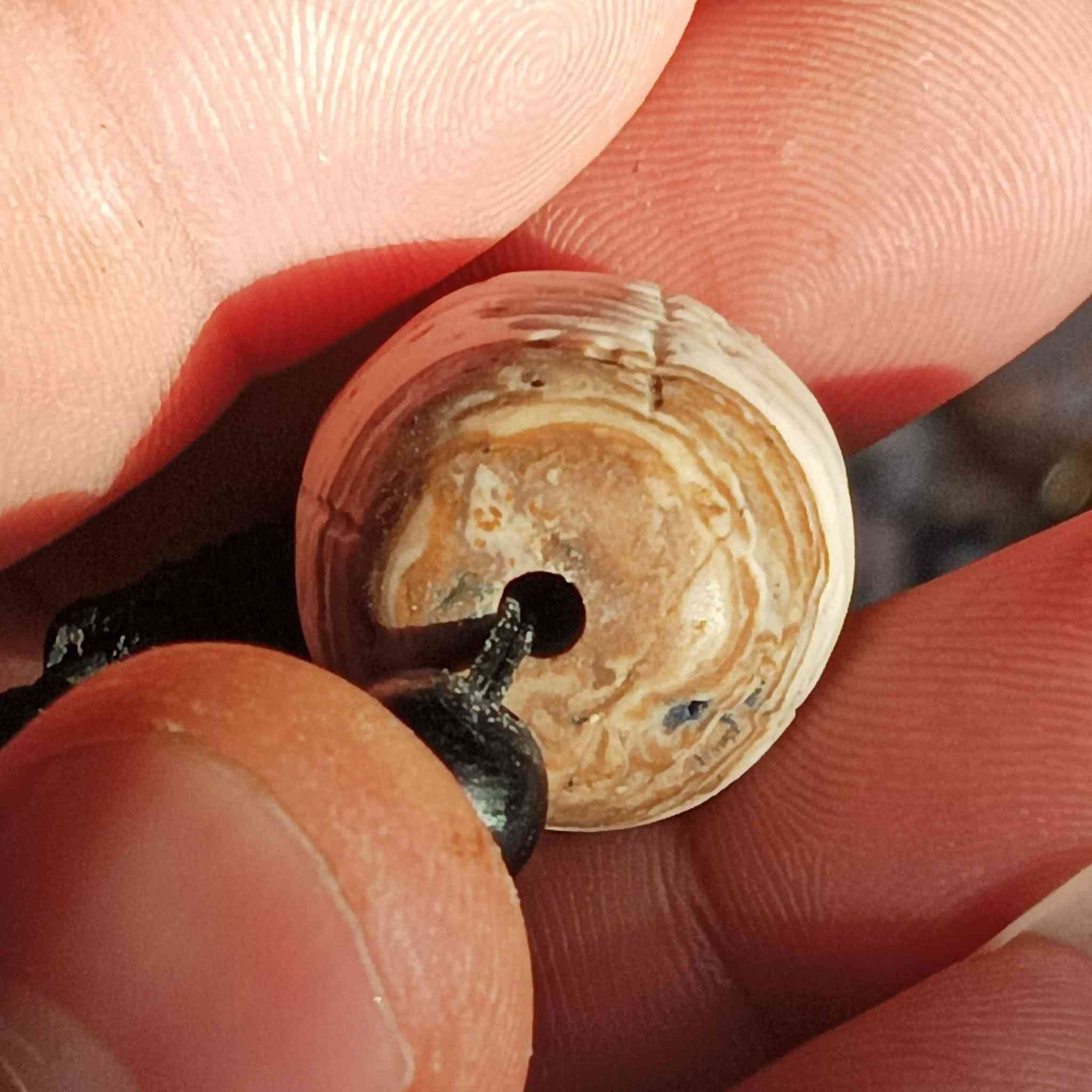 عطفه قديمه محزمه بجوزي مختلفه وجميله جدا حجر طبيعي عطف بري للبيع العنوان البصره


**إذا كنت صاحب هذا الإعلان وتريد حذفه لأي سبب، رجاءا أرسل رسالة إلى الدعم الفني**