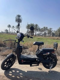 باسكل شحن • حجم ١٦ • بابل