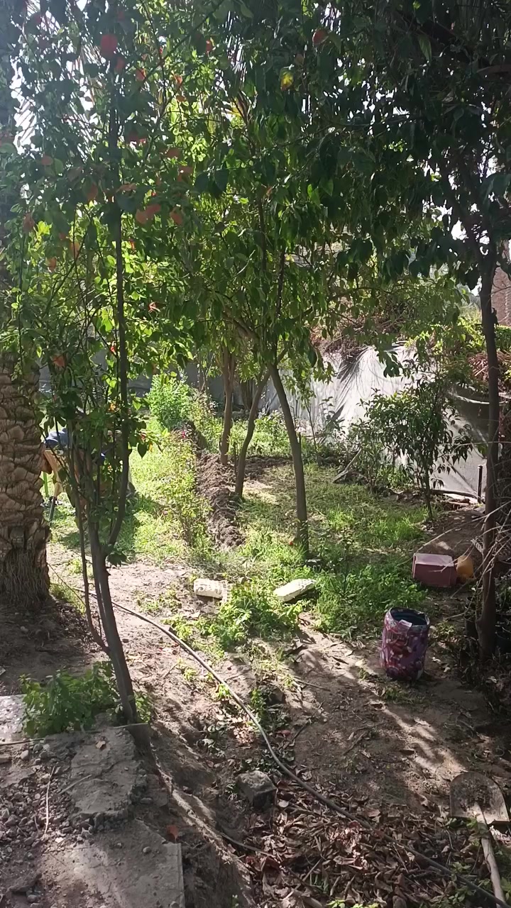 قطعة ارض زراعيه سند 25 المساحه دونم ونص مع بيت مساحة 300 متر
الموقع المحاويل قريب على شارع حله بغداد 
ومتوفر كل الخدمات للاستفسار الاتصال على الرقم ***********
