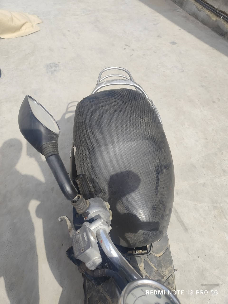 لبيع مصريه فحل سلف هدر شقال مكان كوت الفلاحيه 250بيهه مجال***********
