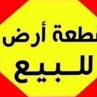 البصره التنومه الصالحيه • ١٠٠م • طابو زراعي