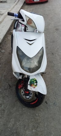 دراجة سكنس • فحل • شعلة