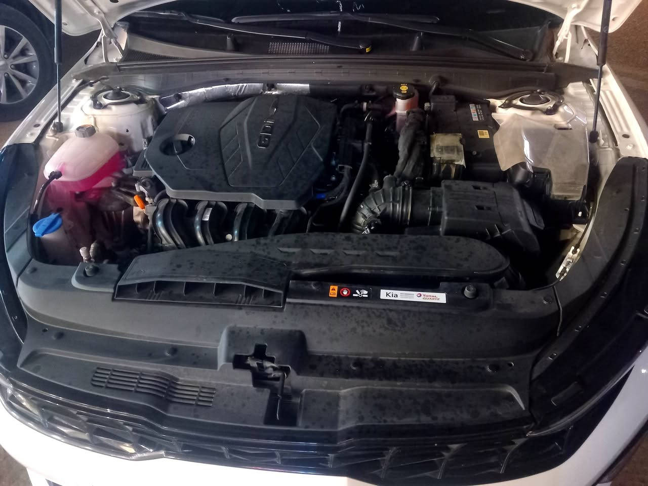 سلام عليكم خوان سياره كيفايف مديل 2024 ماشيه 27 اسياره كفاله عامه من الدعاميه للدعاميه السياره مال واحد جناي السعر 225 وشرياي خل يتصل *********** الرقم
