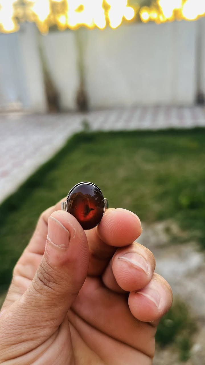 ماعرف بلمحابس بس اعرف انو يسوى سعر زين قالبه حلو وبلبس حلو وشذرته مميزه وبلواقع جدا جميله 
اليدفع بي سعر زين يشوف خيره انشالله التوفيق للجميع


**إذا كنت صاحب هذا الإعلان وتريد حذفه لأي سبب، رجاءا أرسل رسالة إلى الدعم الفني**