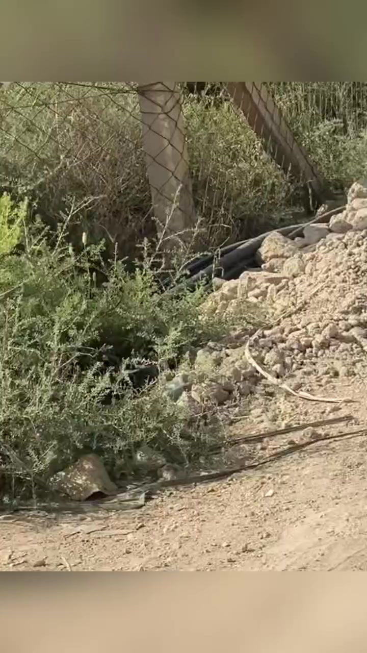 السلام عليكم
توجد قطعة أرض للبيع في حي السلام، قرب علـوة الناصرية الجديدة، على طريق سيد دخيل – الناصرية.

📍 الموقع قريب من الشارع الرابط بين سبل وحي السلام، وتبعد تقريباً 800 متر عن العلوة.

▫️ المساحة: 200 متر
▫️ قطعة ركن
▫️ شارع رئيسي 15 متر
▫️ شارع فرعي 10 متر
▫️ منطقة ممتازة وحيوية للسكن

📞 للاستفسار: ***********
أو مراسلة الصفحة عالخاص
