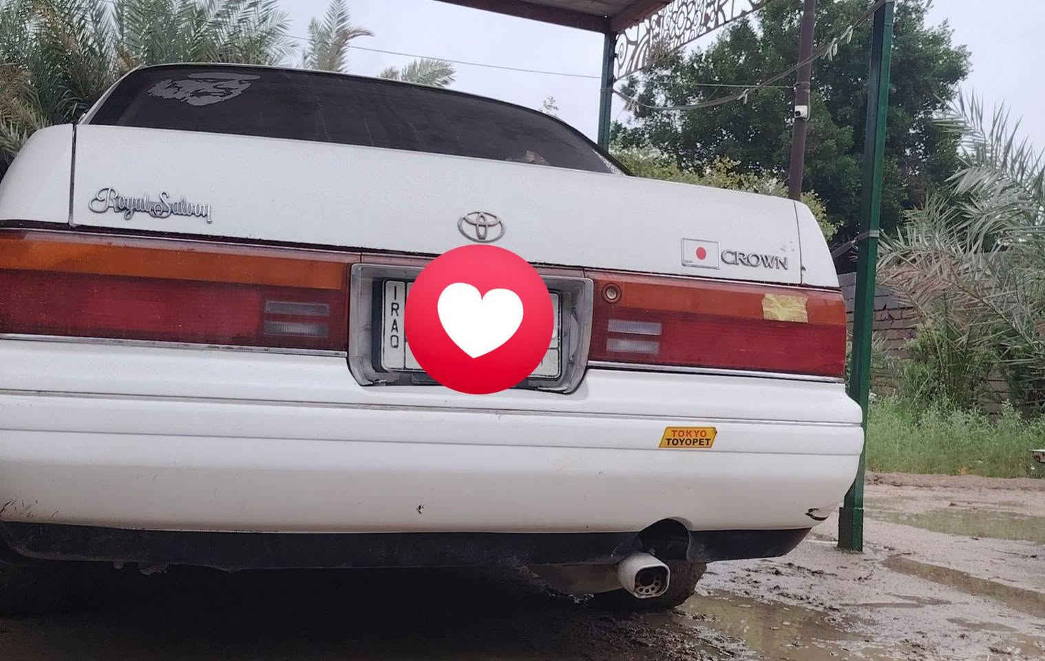 السلام عليكم بطه فصل كصه قماره باقي مكفول رقم قادسيه سنويه 29 تحويل مباشر مكينه وكير 2500 تخم تاير مكان سياره البصره القرنه سعر سياره 47 بيه مجال حداده الخالفيه 100 حداده المامي 70 باقي سياره تجي شوف شوف العين رقم الهاتف ***********
