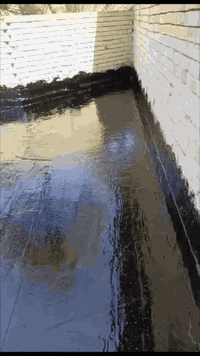 تعلن سكله المنكوشي البيع الكير الدرجه الاولى في محافظة كربلاء اتصال على رقام تاليه 📞*********** /***********
