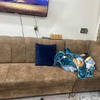 تخم ديوان احطاطه شغل درجه اولى مكاني بغداد سريدات اليحب يتصل عالرقم 07...