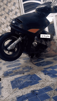 سلام عليكم درجة فراشه فحل للبيع بس خيط بخار بيها مكان ديوانيه رقم تليفون ***********
