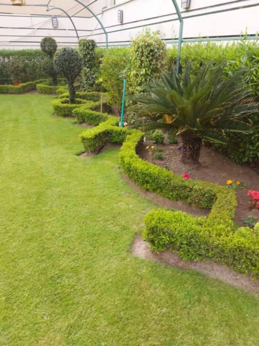 لسنا الوحيدين لكننا الأفضل دائما 🌴🌵
وان كنت ‏‪ عن التميز فنحن هنا
نقدم عروض استثنائية وهاذي بعض الصور
والفيديو من عملنا وبأسعار تنافسية 
ومناسبه جدأ للمساحة الكبيرة ....🌲
ملاحظه اي استفسار على الخاص او
تواصل معنا ....📞📞😍
‏‪***********‬‏
او ارسل رسالة على بريد الصفحه🌹
