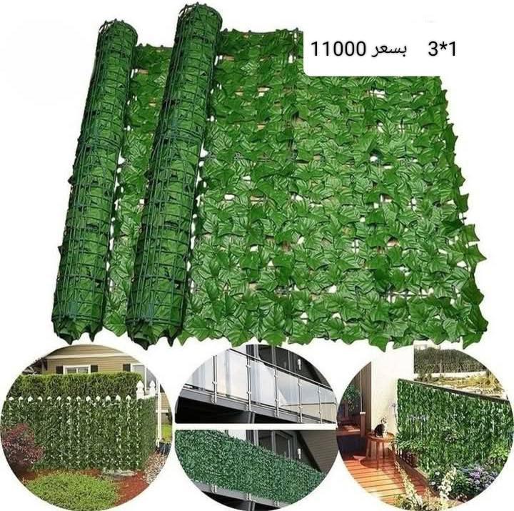 السلام عليكم، نبات جهنمي صناعي وستار لبلاب صناعي، توصيل مجاني، للطلب يرجى مراسلة الصفحة .


**إذا كنت صاحب هذا الإعلان وتريد حذفه لأي سبب، رجاءا أرسل رسالة إلى الدعم الفني**