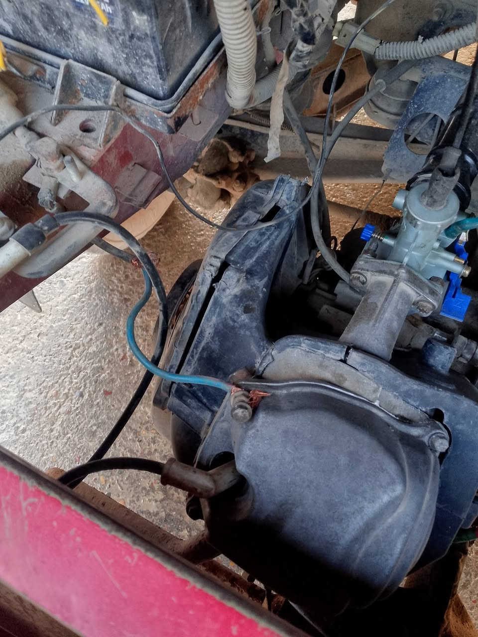 تفاصيل بل صور
