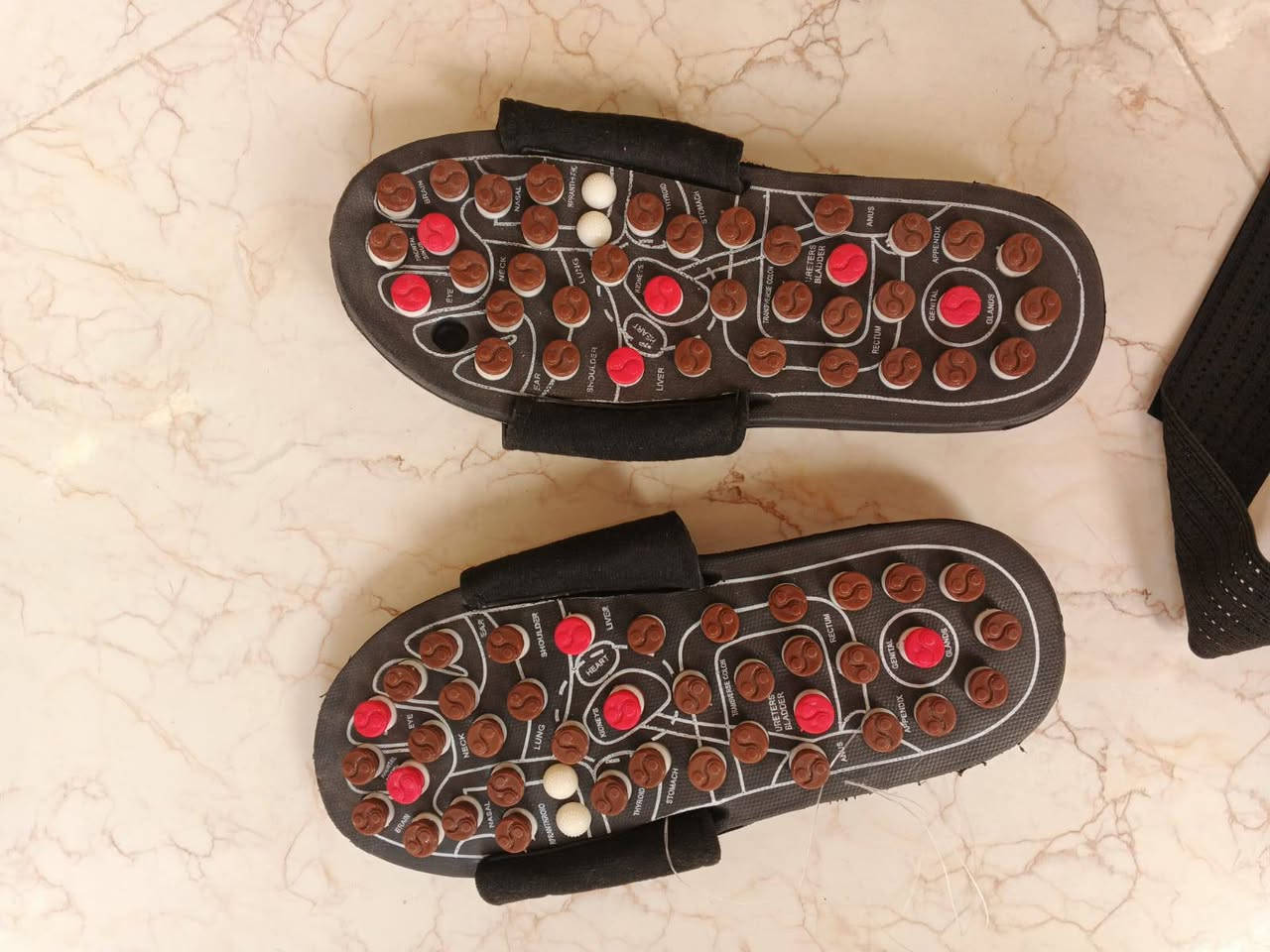 سلام عليكم
اسعار مناسبة


**إذا كنت صاحب هذا الإعلان وتريد حذفه لأي سبب، رجاءا أرسل رسالة إلى الدعم الفني**