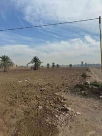 معمل الأسمنت الكوفه • طابو زراعي • سند 25 يم