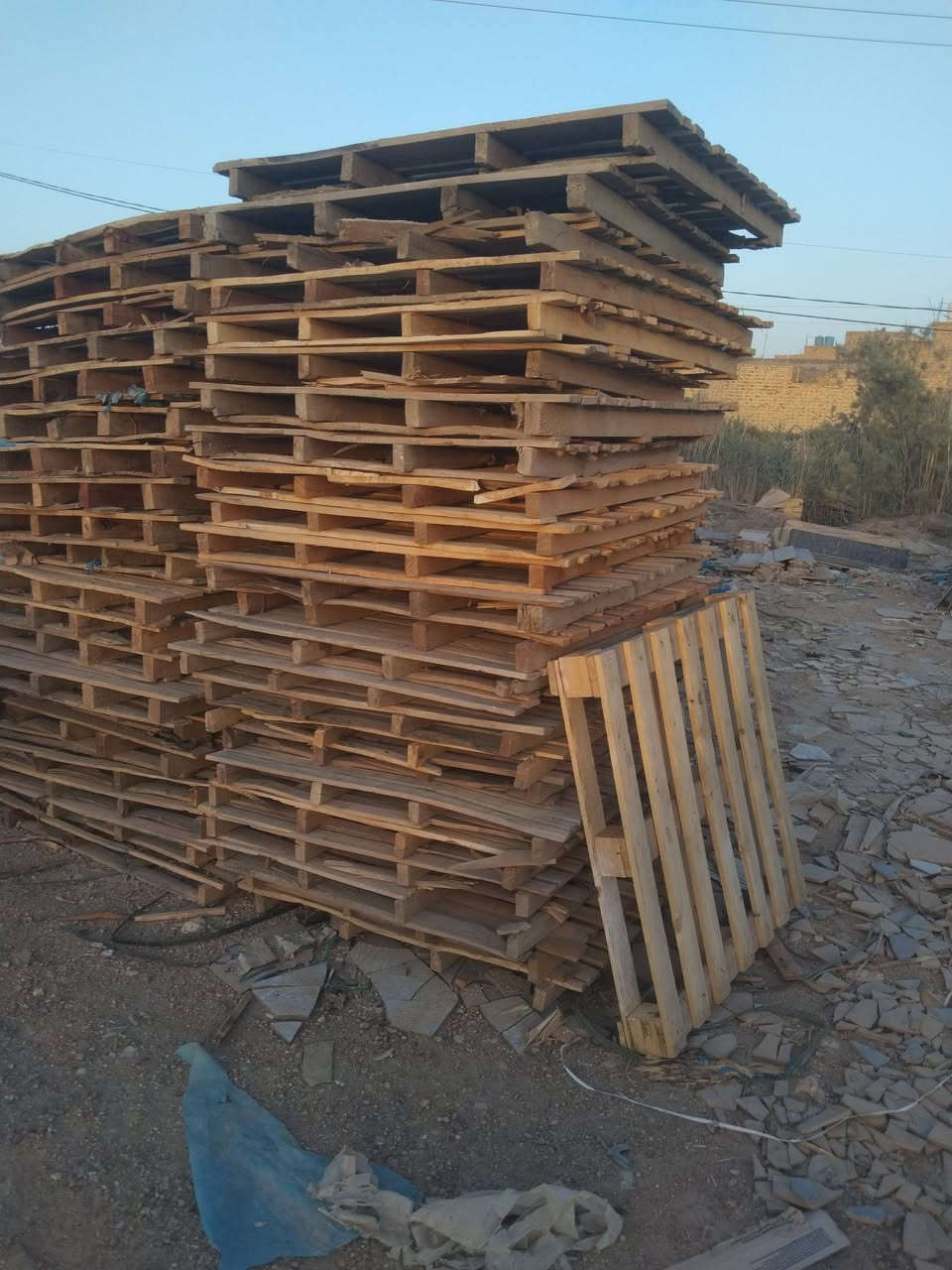 سلام عليكم سكيب البيع تريد مفرد تريد كلهن


**إذا كنت صاحب هذا الإعلان وتريد حذفه لأي سبب، رجاءا أرسل رسالة إلى الدعم الفني**