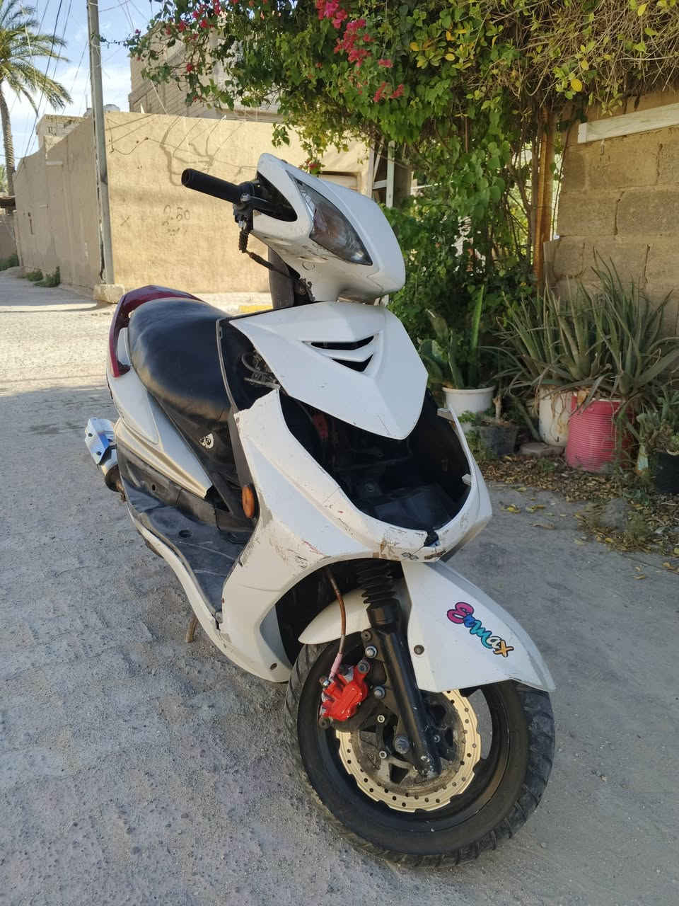 سكنس فحل مكينه مزوده شرط شلعه ومعدل هاوون صينيه رياضي قبق بانزين رياضي صالنصه بوري عدل تفصال شغاله سلف هندر بكل وقت نقصها بس بريك خلفي كهربائيات شغاله من سلف واشاير يمنه يسره ودبل اشاره ترايك وين متريد معدل 120
مراوس بعدله مال لعب او منغولي شعندك نزل المكان كربلاء
.
سكنس فحل مكينه مزوده شرط شلعه ومعدل هاوون صينيه رياضي قبق بانزين رياضي صالنصه بوري عدل تفصال شغاله سلف هندر بكل وقت نقصها بس بريك خلفي كهربائيات شغاله من سلف واشاير يمنه يسره ودبل اشاره ترايك وين متريد معدل 120


**إذا كنت صاحب هذا الإعلان وتريد حذفه لأي سبب، رجاءا أرسل رسالة إلى الدعم الفني**