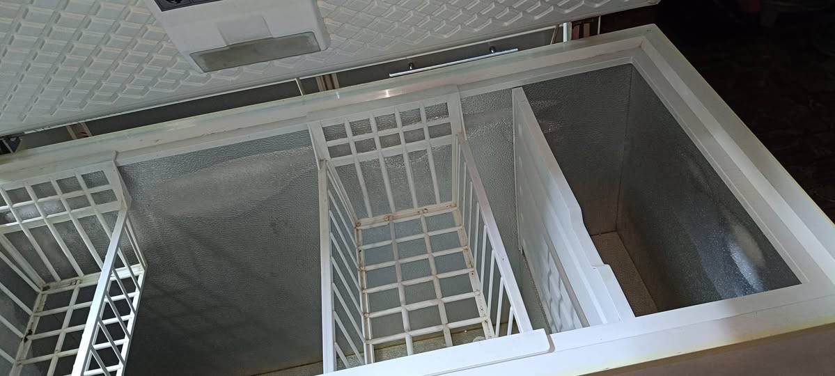 للبيع مجمدة حجم كبير شرط النظافة وشرط بلادي
سعره 150 وبيها مجال 
***********
