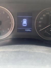 خليجي • فول • ماشية ٩٣٢٩٠