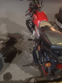 بوكسر • موديل 21 • أوراق كاملة